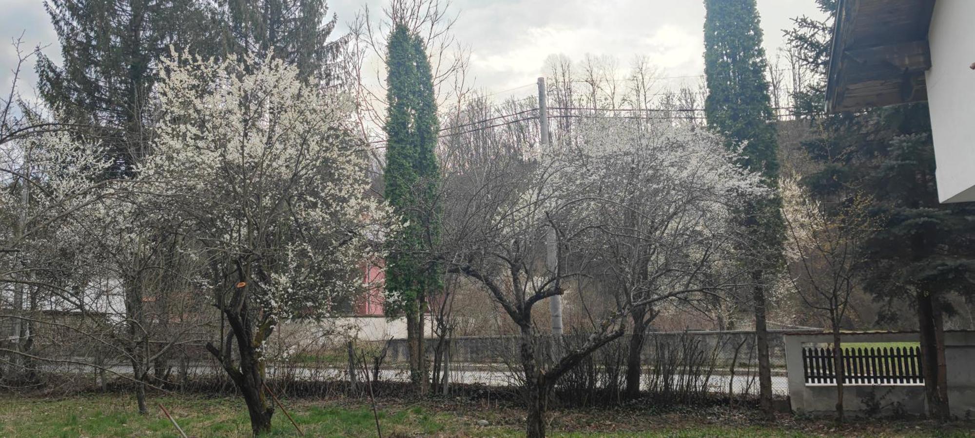 Хан Костина - Han Kostina Ribarica Exteriér fotografie